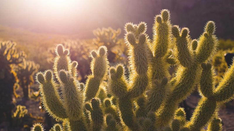 爱定智参与深圳首届人工智能创业之星大赛
